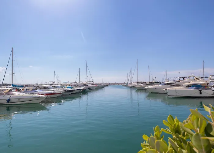 Chicago - Puerto Banus